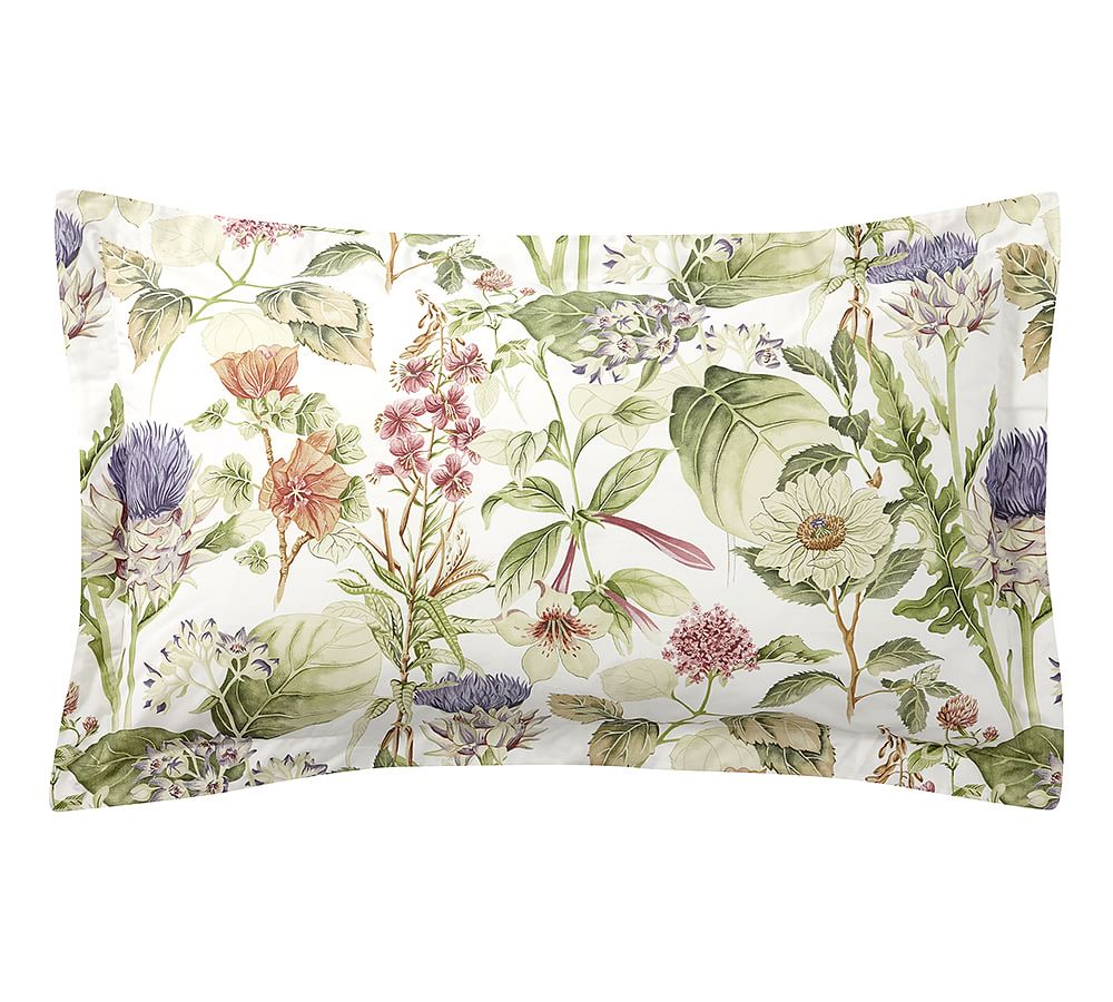 Thistle Floral Print Percale Sham Pottery Barn