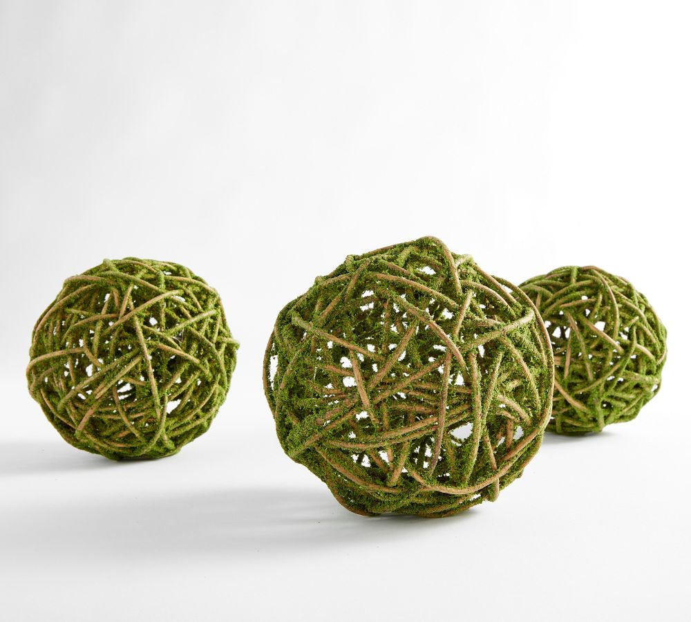 Faux Moss Coated Curly Willow Spheres Set Of 3 Pottery Barn