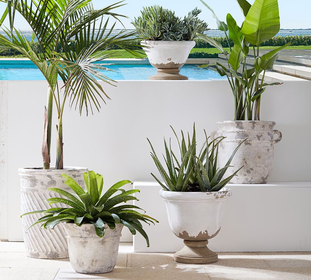 Eclectic Villa Planters Pottery Barn