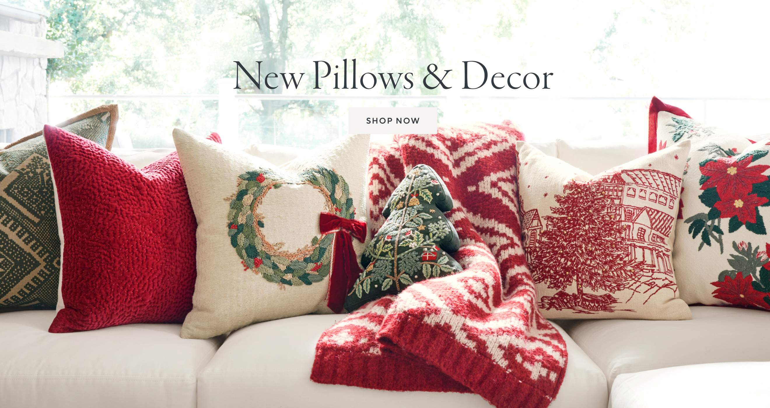 New Pillows & Decor