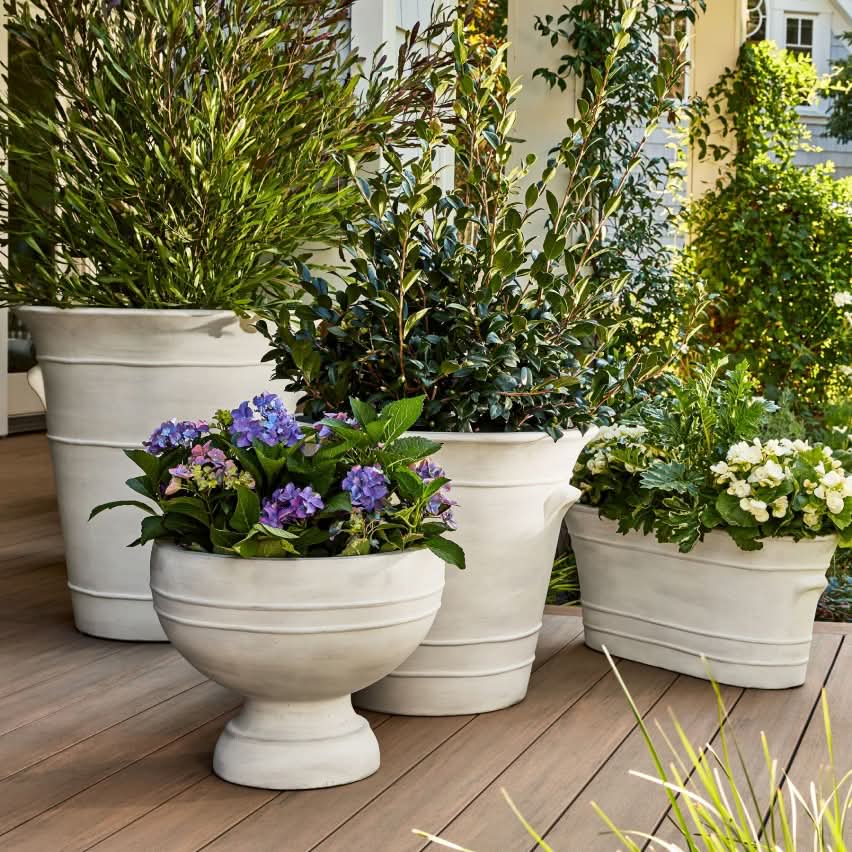 Pots & Planters