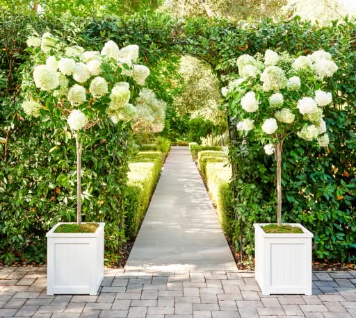 Garden & Planters