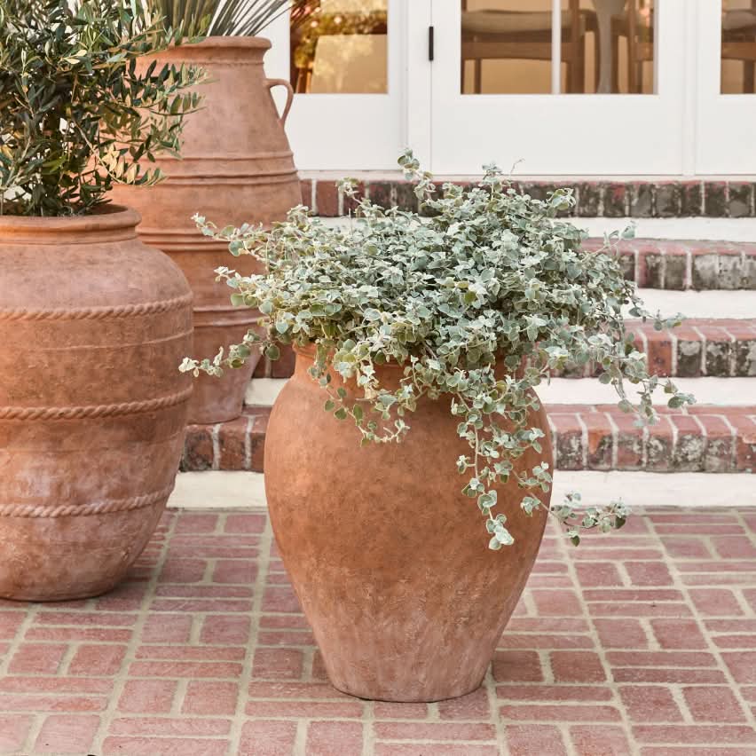 Pots & Planters