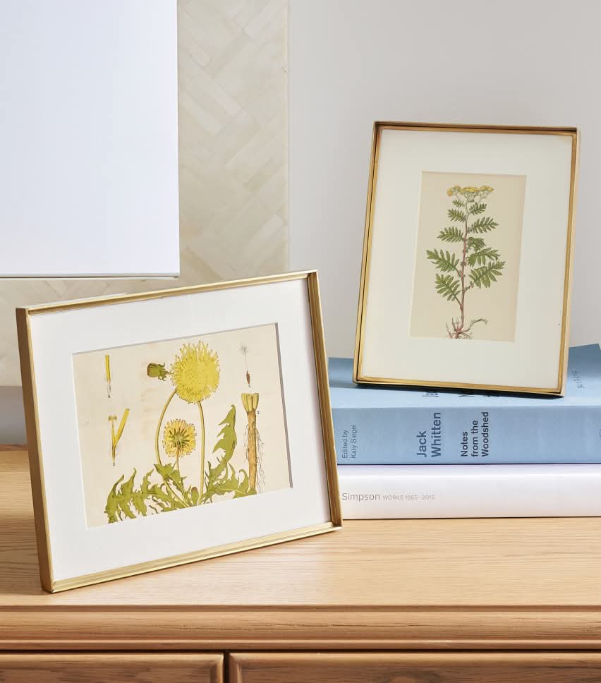 Picture Frames