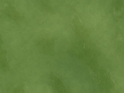 Green Green