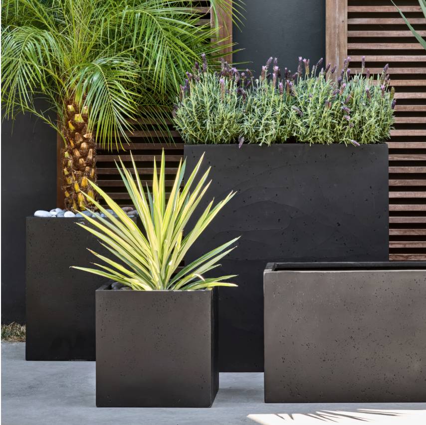 Planters