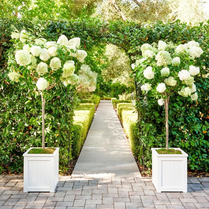 Planters