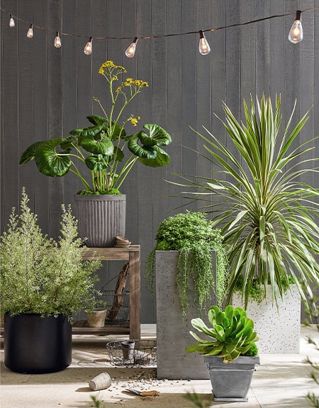 Outdoor Decor & Accessories