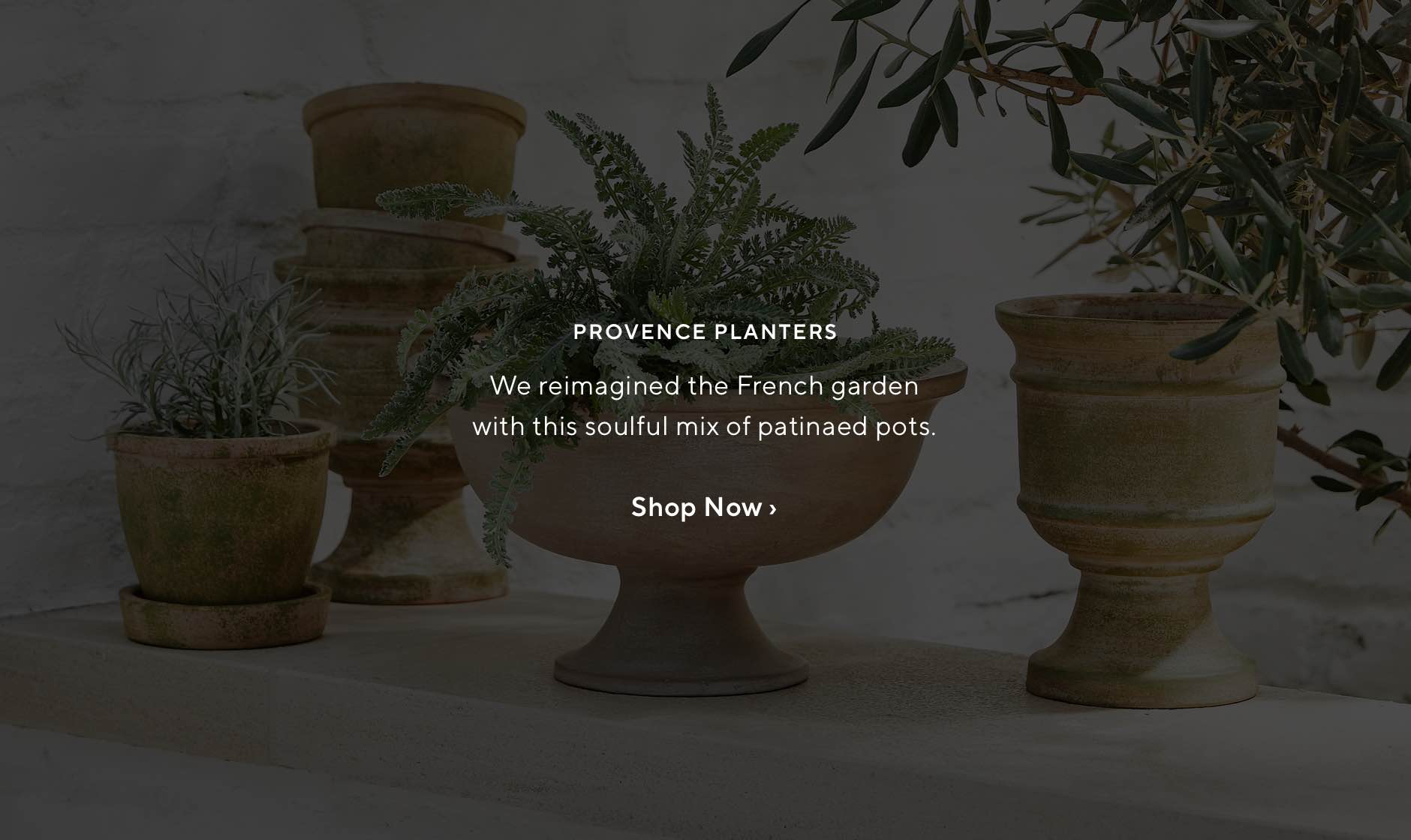 PROVENCE COLLECTION
