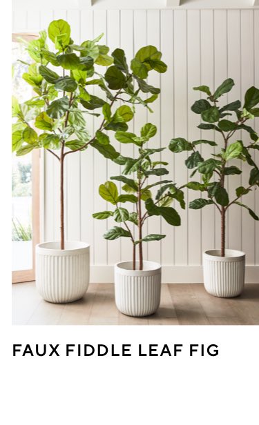 Faux Fiddle Leaf Fig