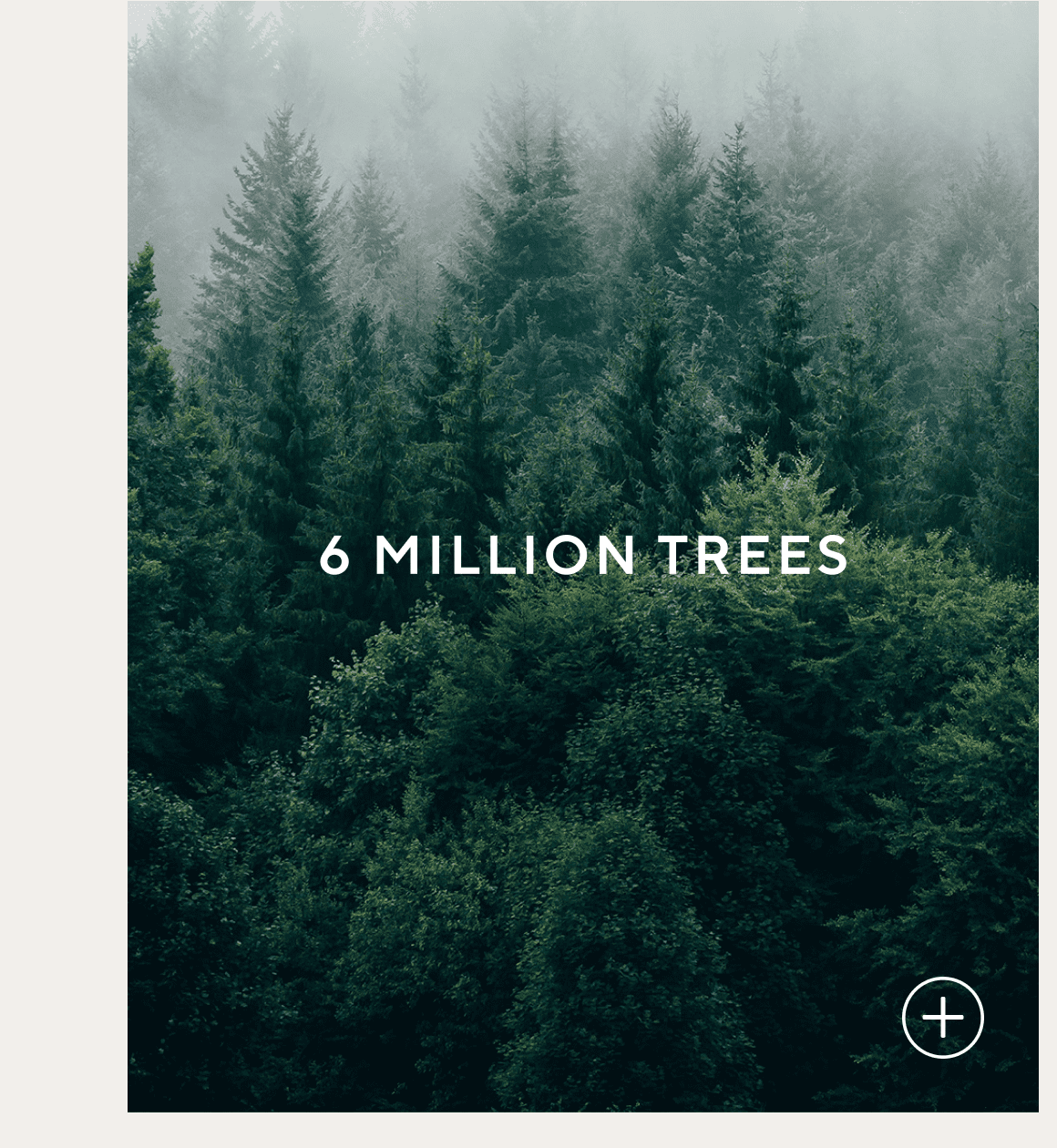 6 Million Trees
