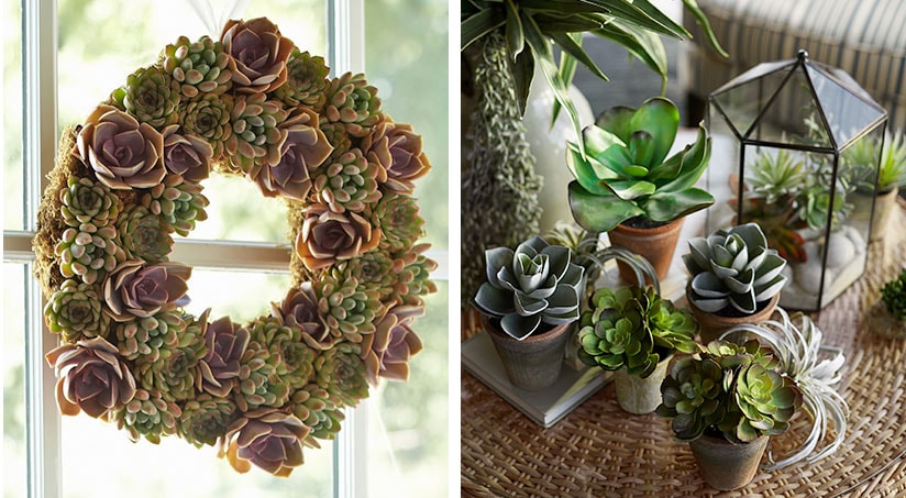 2 DIY Succulent Wreaths Perfect for Spring