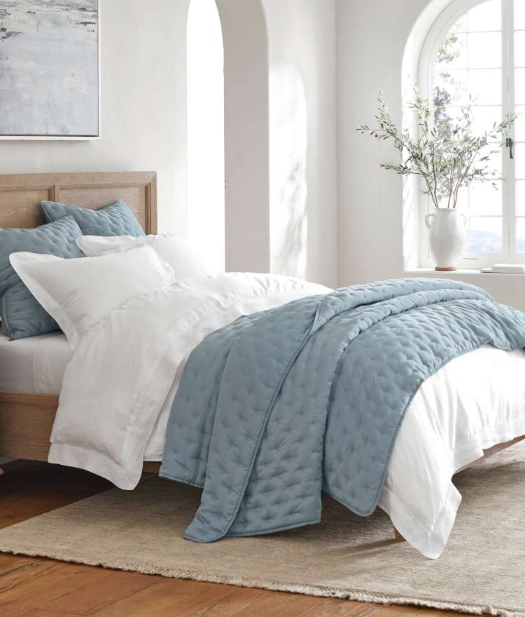 Pottery Barn Duvet Set with deals Matching Euro Shams