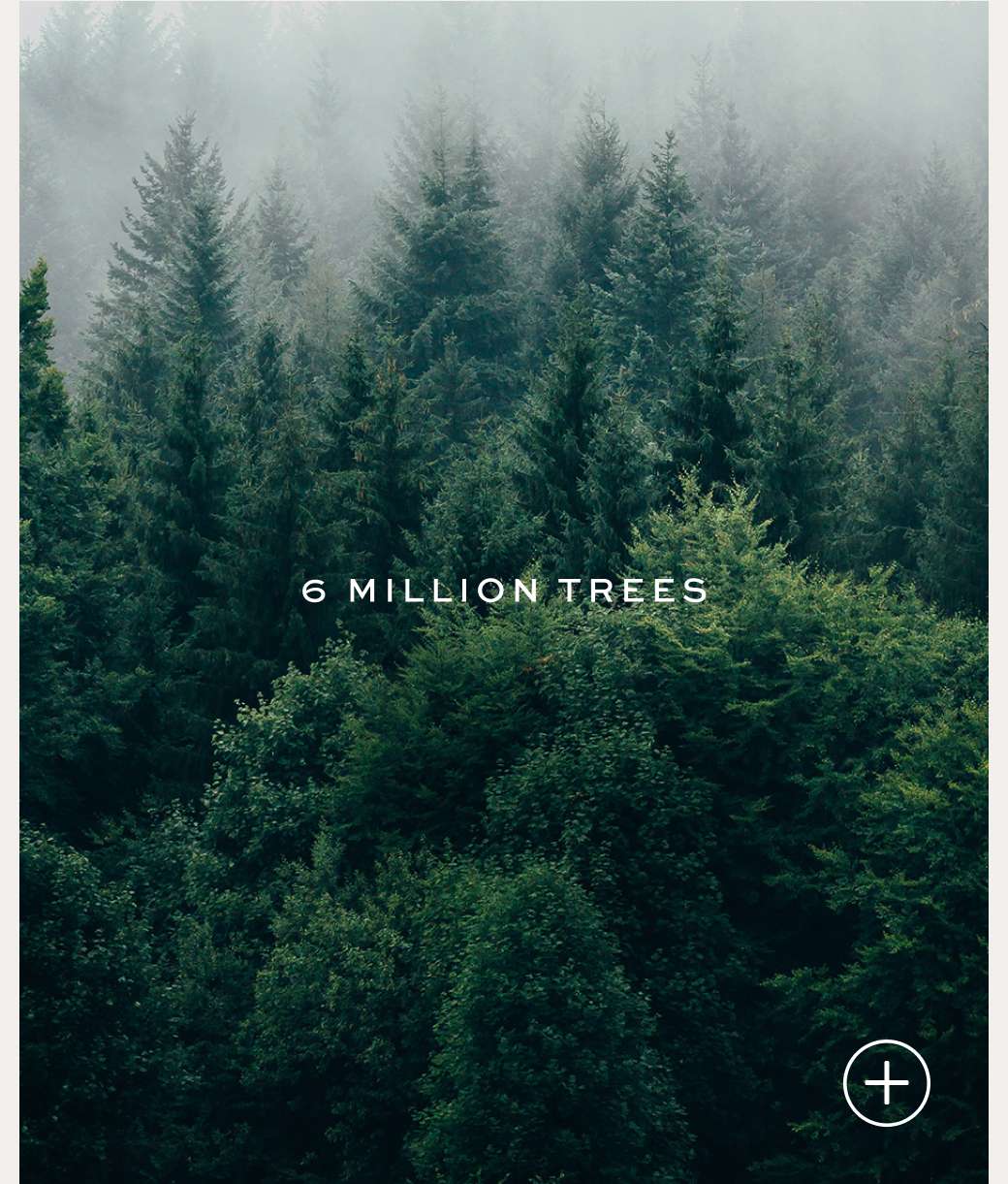 6 Million Trees