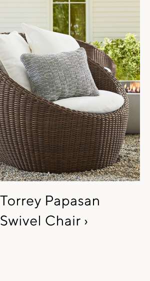 Torrey Papasan Swivel Chair