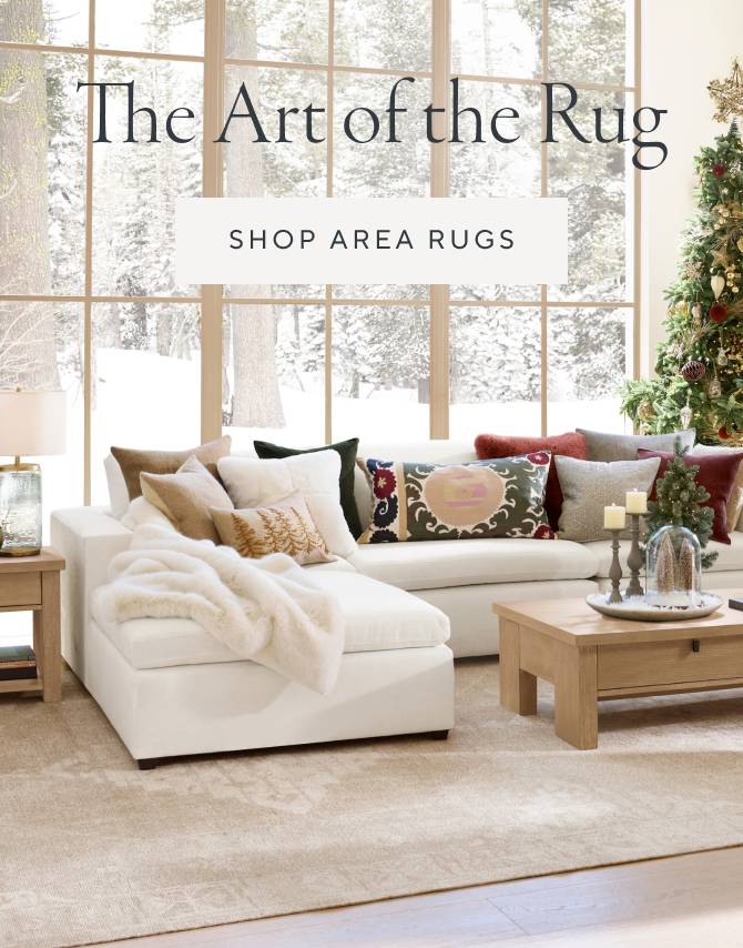 Area rugs with matching throw pillows best sale