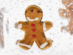 Gingerbread