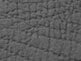 Charcoal Charcoal