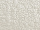 Classic Ivory Classic Ivory