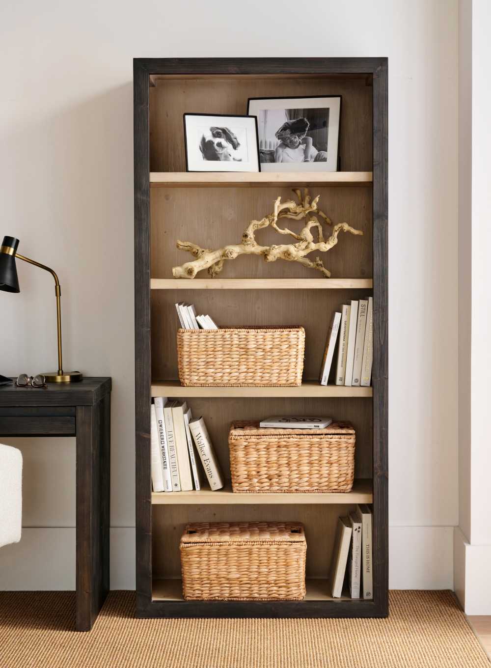 Bookcases & Shelves