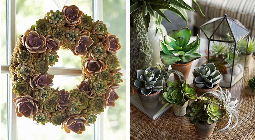 2 DIY Succulent Wreaths Perfect for Spring 2 DIY Succulent Wreaths Perfect for Spring
