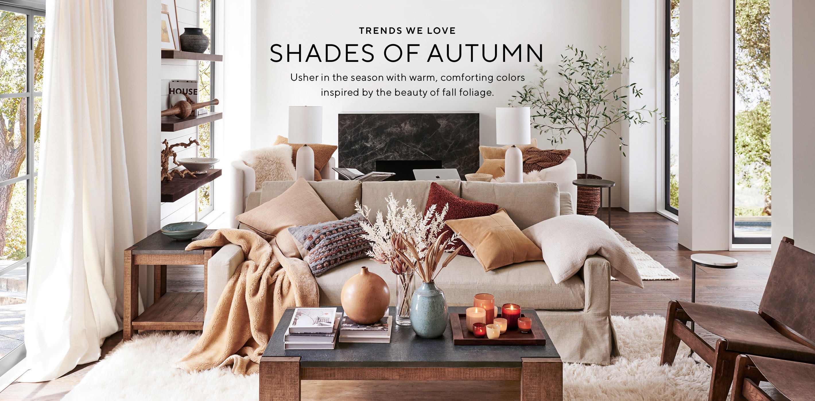 Fall Foliage Palette