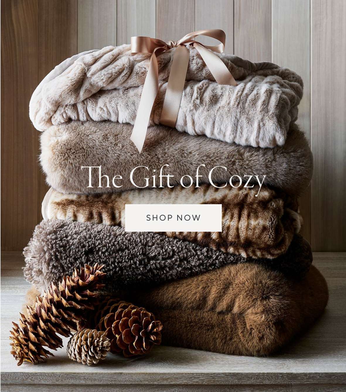 The Gift of Cozy