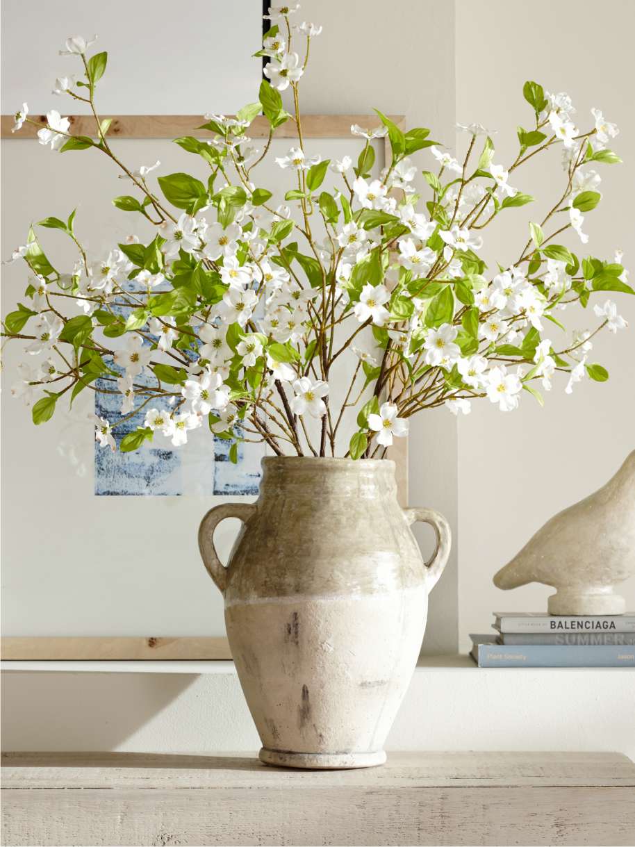 Botanicals