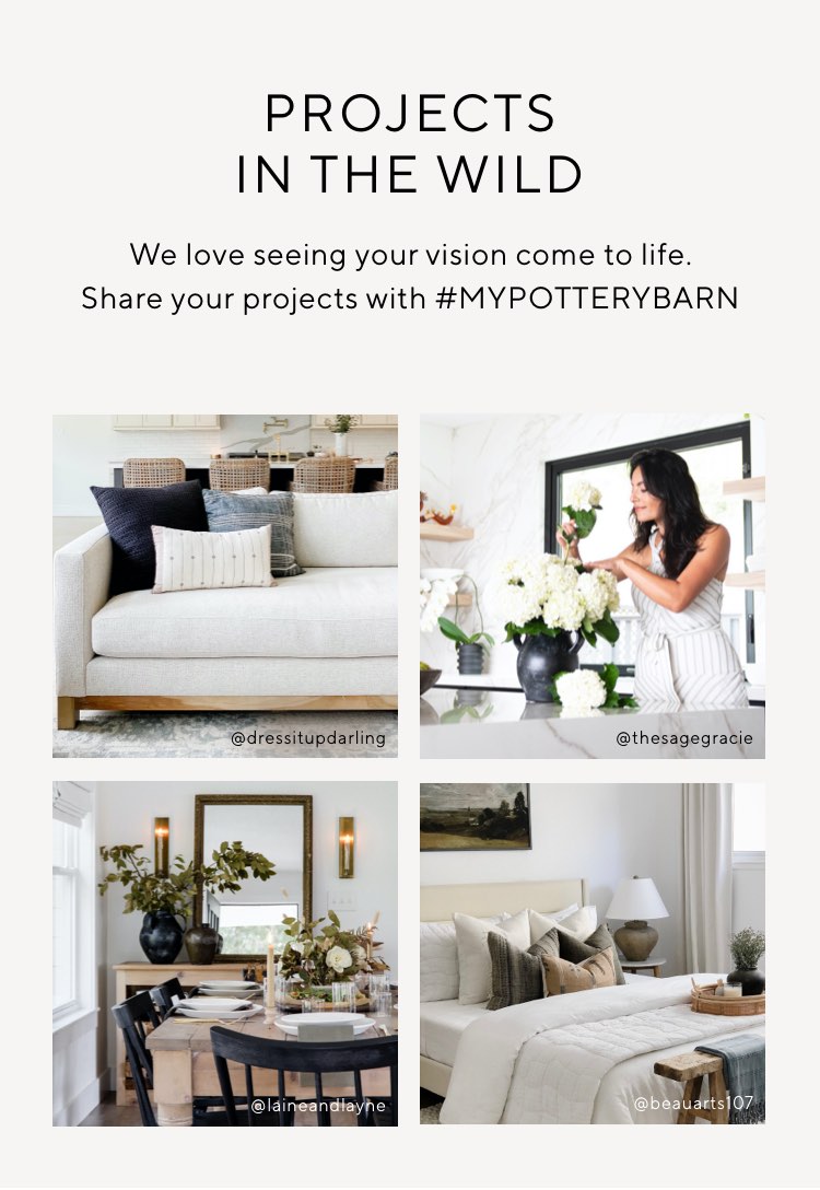 PROJECTS IN THE WILD