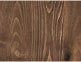 Auburn Poplar Auburn Poplar