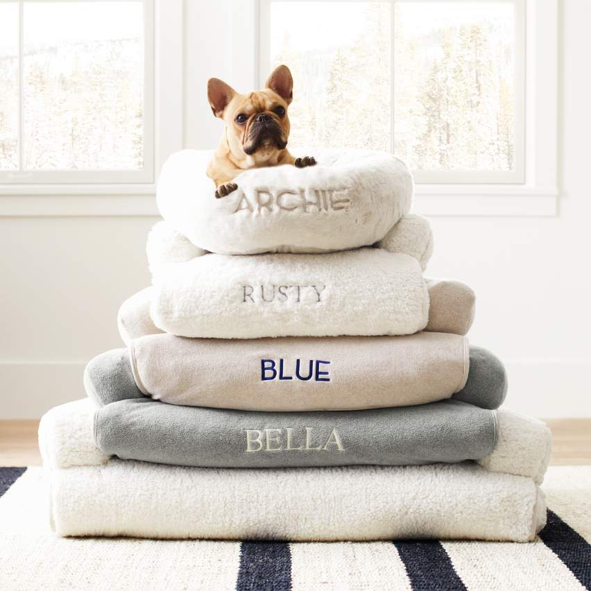 Pet Beds & Accessories