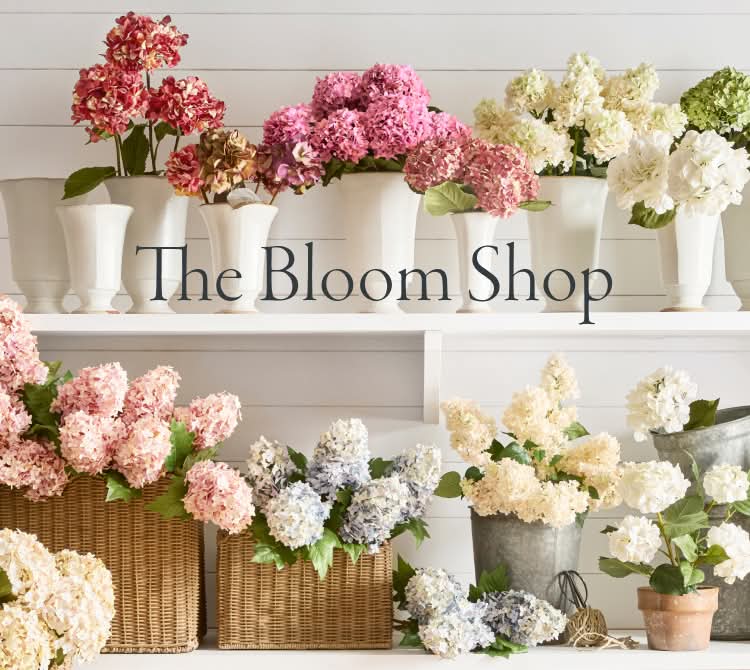 Explore Beautiful Flowers & Plants for Any Occasion | Pottery Barn