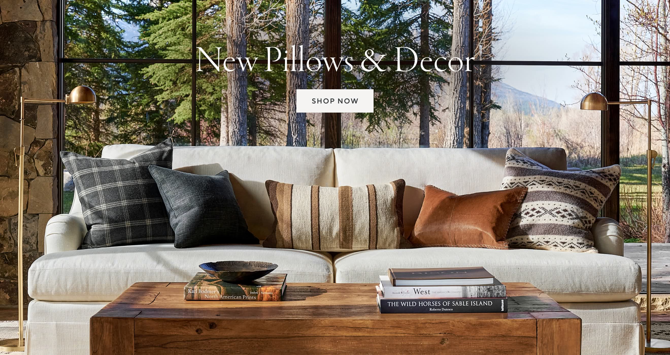 New Pillows & D&eacute;cor