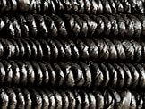 Charcoal
