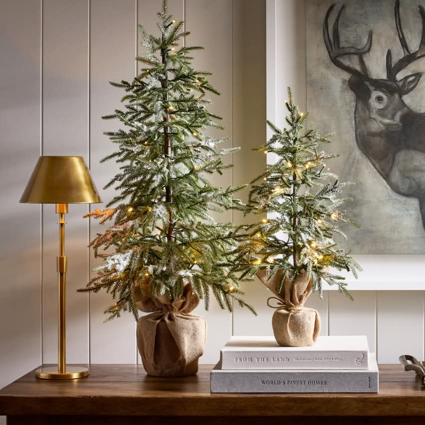 Plants & Trees
