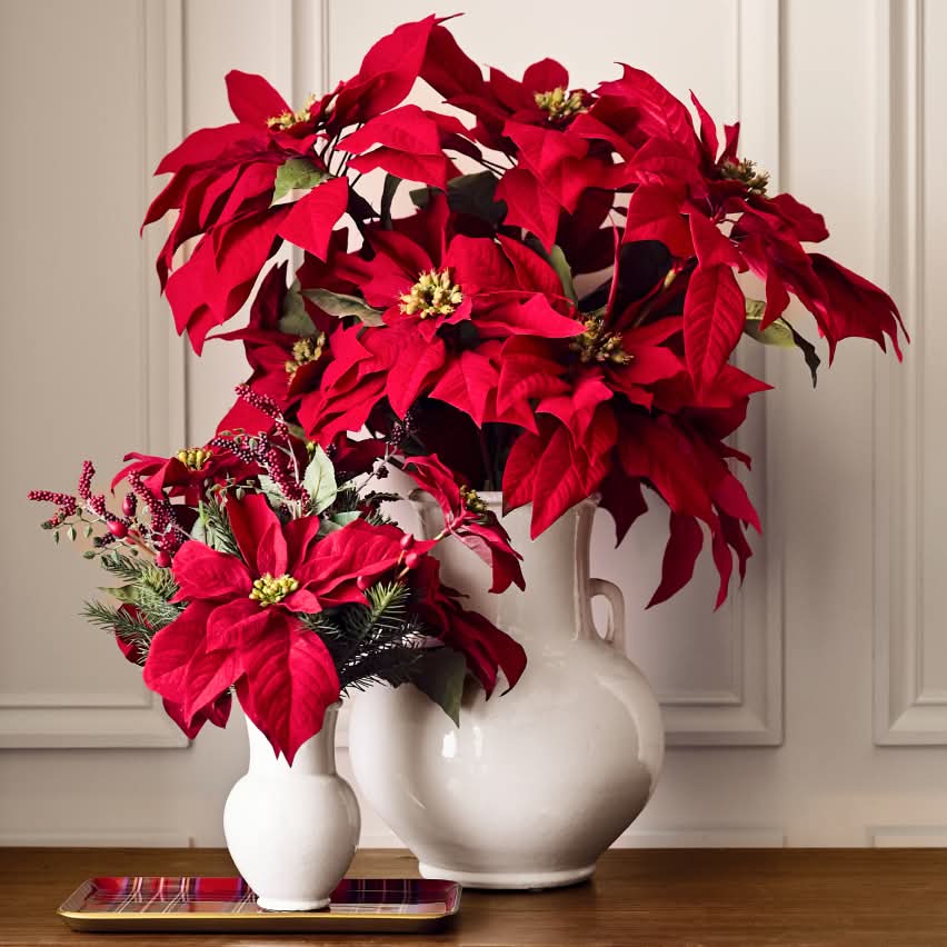 Holiday Botanicals