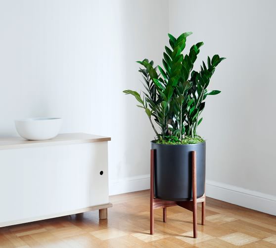 Modern Black Ceramic Indoor Planters With Wooden Stand Pottery Barn Modern Black Ceramic Indoor Planters