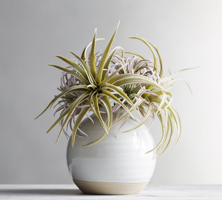 Pottery barn faux plants Idea