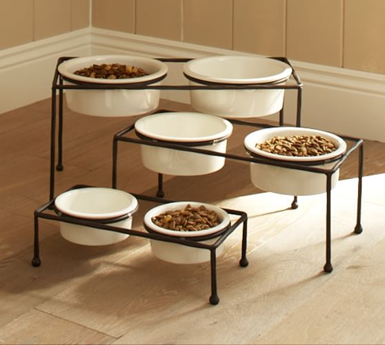 dog food tray stand