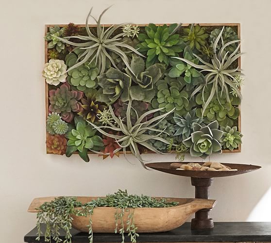 Faux Succulent Wall Art Pottery Barn - Succulent Wall Hanging Faux Succulent Wall Art Pottery Barn - Succulent Wall Hanging