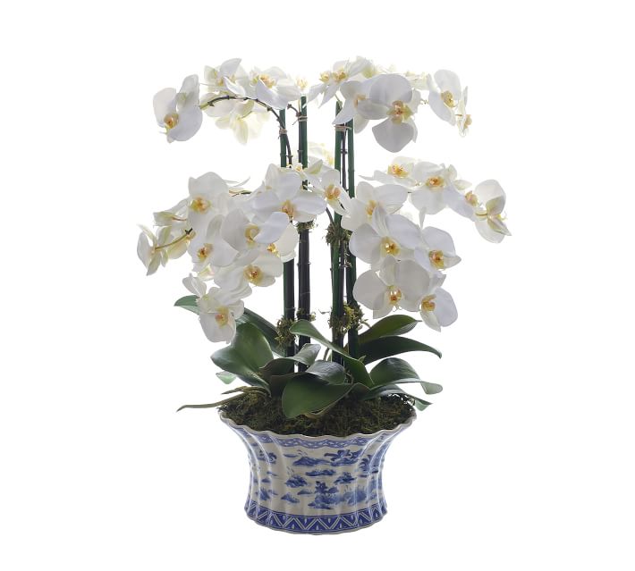 Faux Orchid Phalaenopsis In Pot Pottery Barn