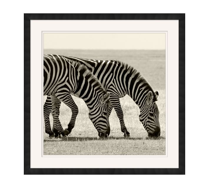Safari Zebra Framed Wall Art | Animal Art | Pottery Barn