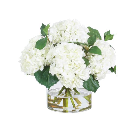 Faux White Hydrangeas In Glass Vase Artificial Flowers Pottery Barn,Whats An Infants Response In A Babinski Reflex