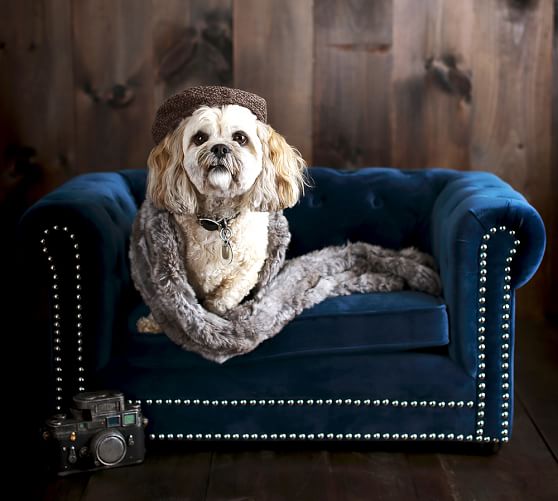 chesterfield style dog bed