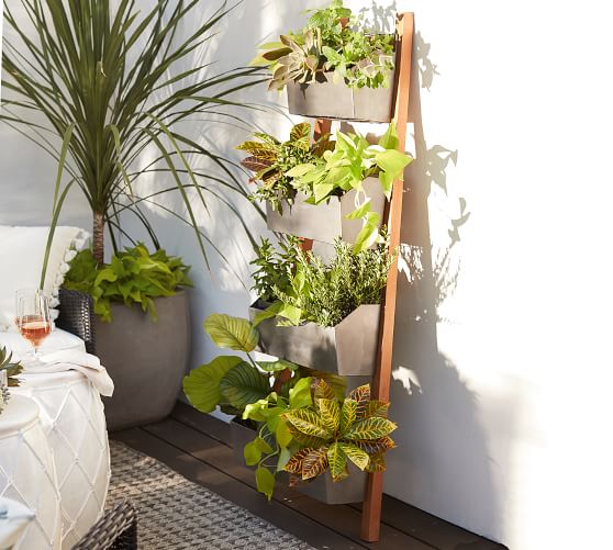 Featured image of post Ladder Plant Stand With Lights / This tiny ladder plant stand diy tutorial is simple enough for anyone to make themselves.