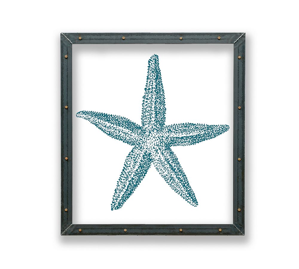 Starfish Framed Acrylic Print Coastal Wall Art Pottery Barn