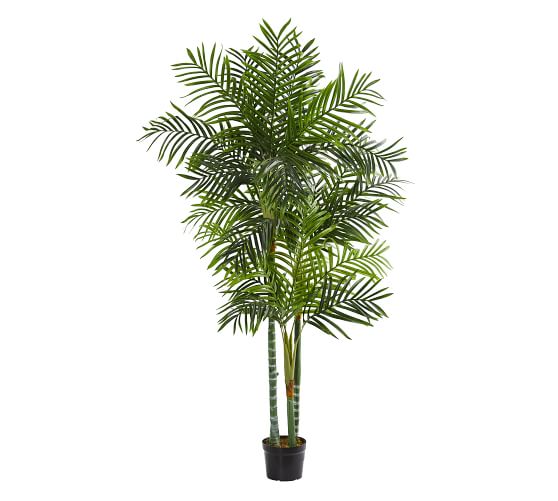 Areca Faux Palm Tree Pottery Barn