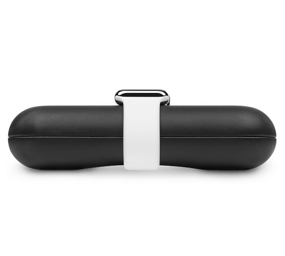 timeporter for apple watch