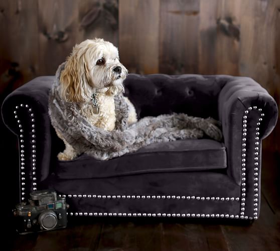 dog bed chesterfield