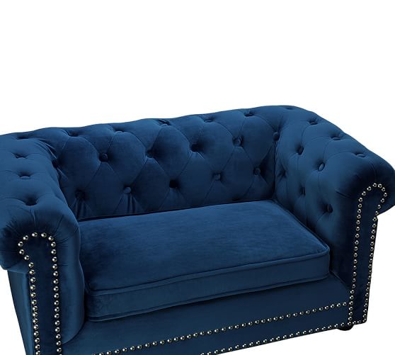 blue dog couch